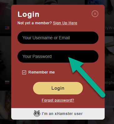 Accedi a Stripchat