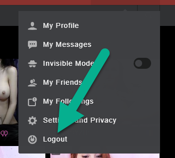 Stripchat logout