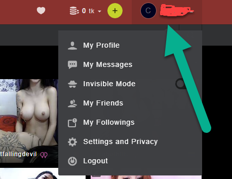 Stripchat username login