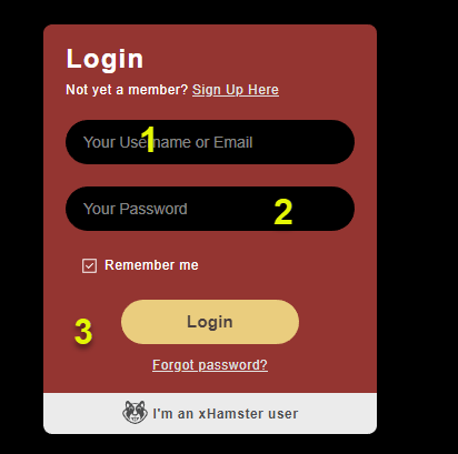 Stripchat studio login