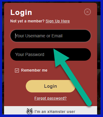 Stripchat login