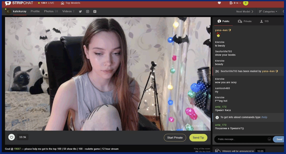 Stripchat chat room