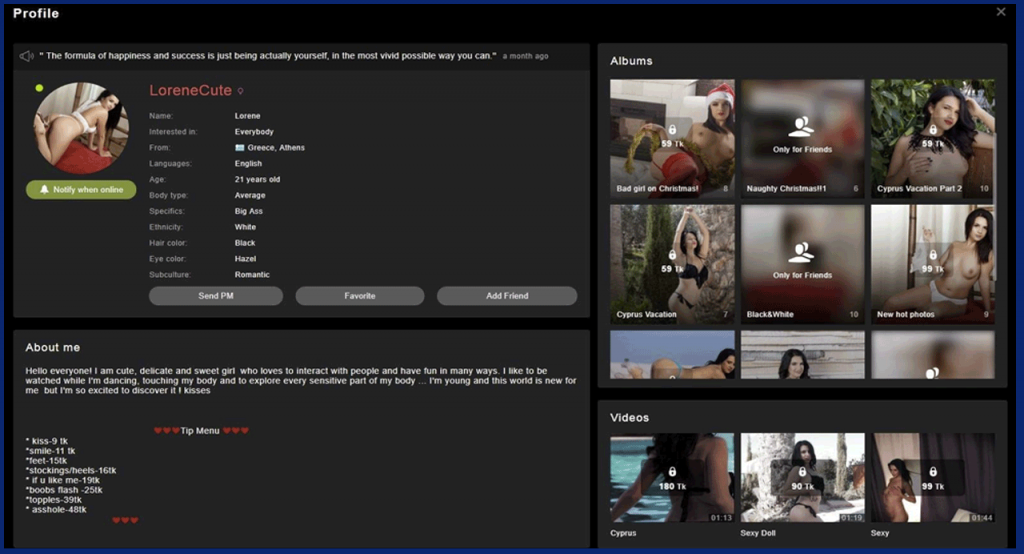 StripChat model profile