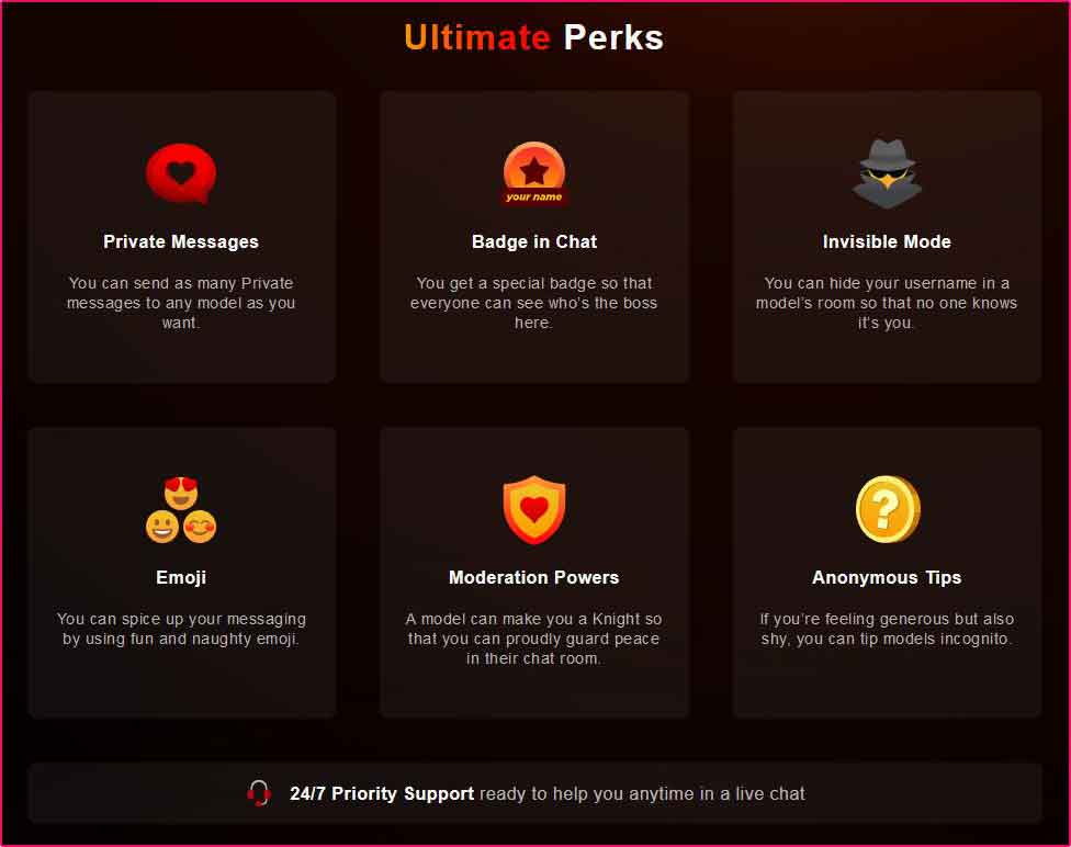Paid StripChat Cams