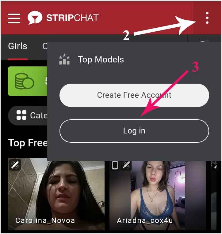 StripChat Fai clic sul pulsante Accedi per procedere