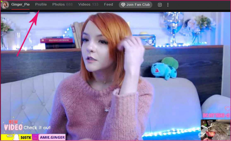 StripChat Free